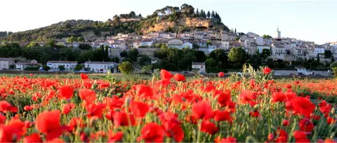 Le village de Cadenet vu depuis un champ de coquelicots